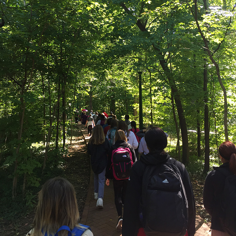 IUB students walking through the woods